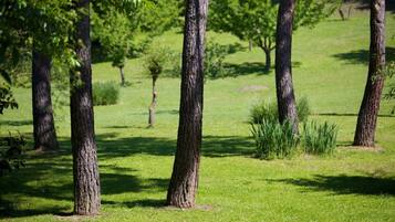 Parco della struttura