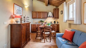 تلفزيون