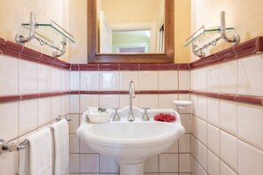 Combined shower/tub, hair dryer, bidet, towels