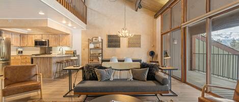 Televisión, chimenea, reproductor de DVD, libros