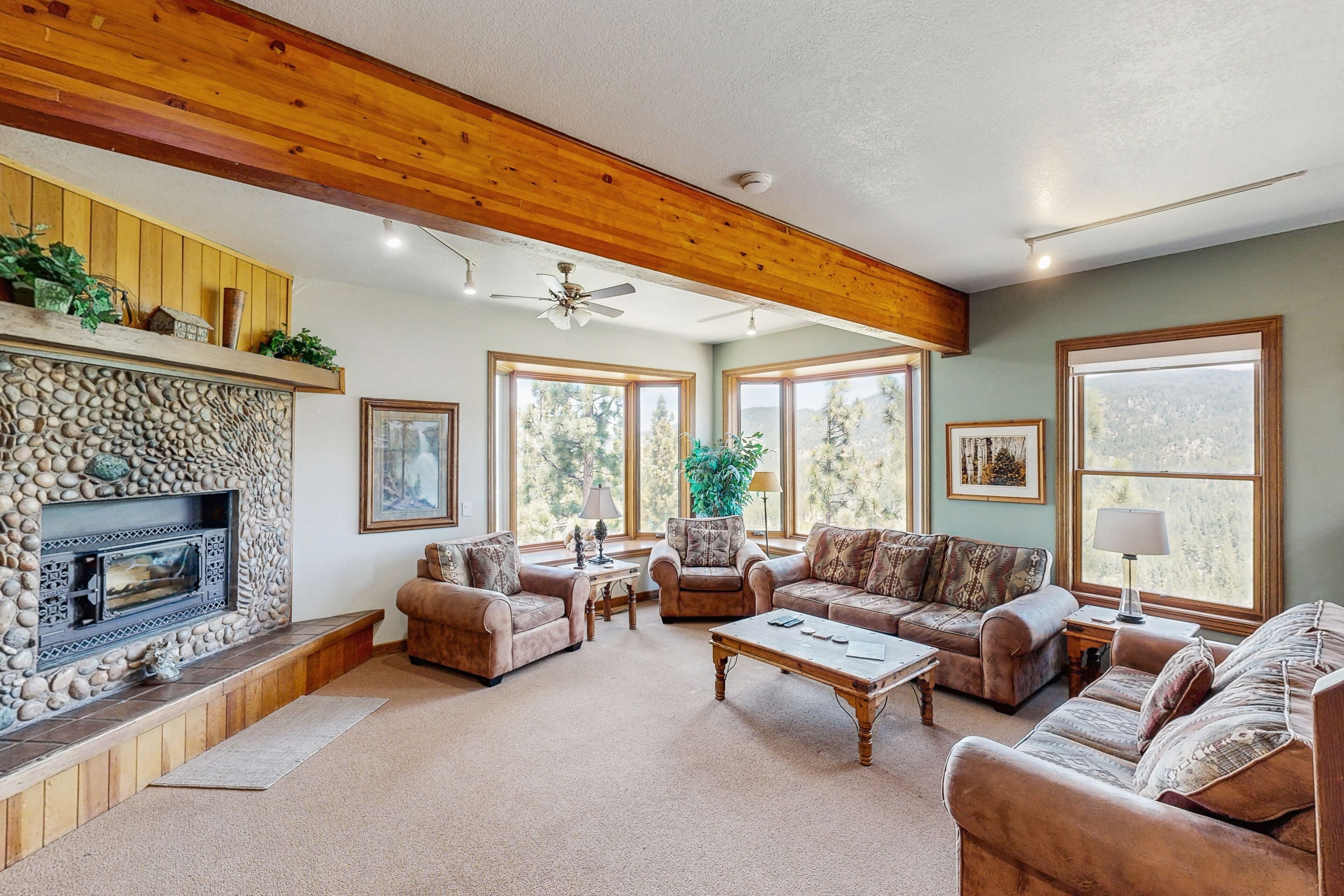 Télévision, cheminée, lecteur de DVD