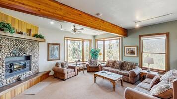 Télévision, cheminée, lecteur de DVD