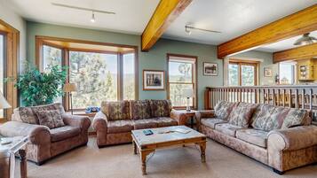 Télévision, cheminée, lecteur de DVD