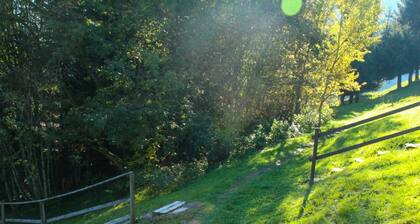 Alleinstehendes Ferienhaus mit TV, Innenhof, Haustiere erlaubt, Panoramablick, Parkplatz