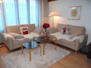 Fernseher