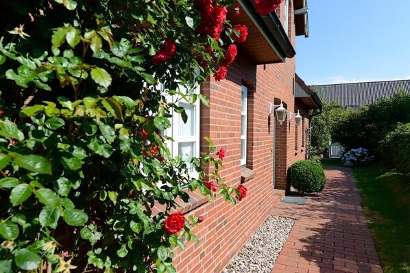 Nicht klassifiziertes Bild, 1 von 41, Schaltfläche