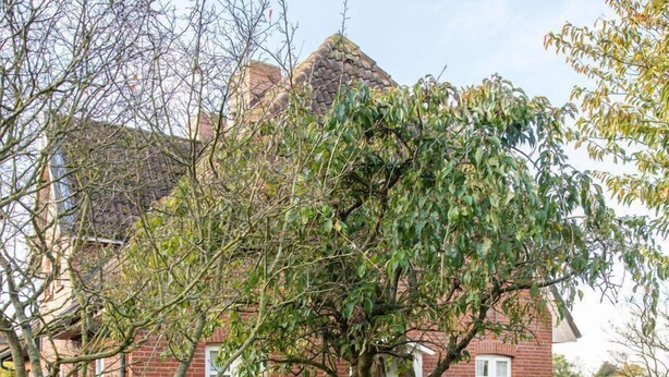A brick house with a white gate, a bench, and a tree in the foreground.