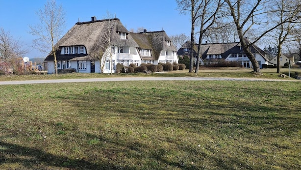 Une rangée de maisons traditionnelles aux toits de chaume, une pelouse verdoyante et des arbres sans feuilles.
