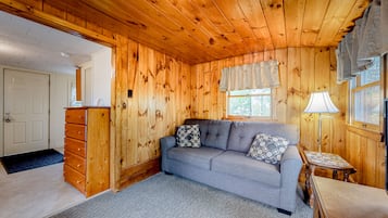 TV, fireplace, books