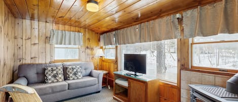 Televisie, een open haard en boeken