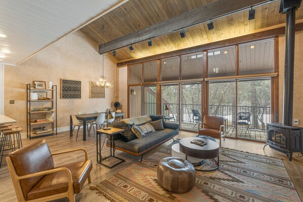 TV, fireplace, books