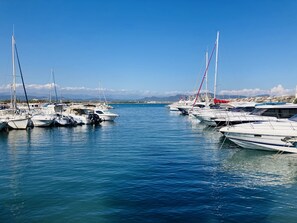 Marina