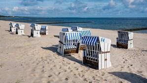 Cadeiras de praia com números numa praia arenosa perto do oceano.