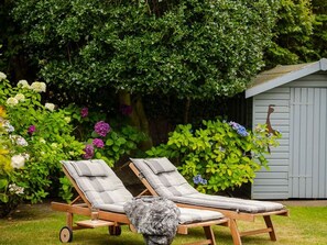 Deux fauteuils de jardin avec des coussins, placés dans un jardin, avec un abri de jardin et un arbre en arrière-plan.