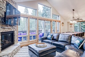 Televisión, chimenea y reproductor de DVD 