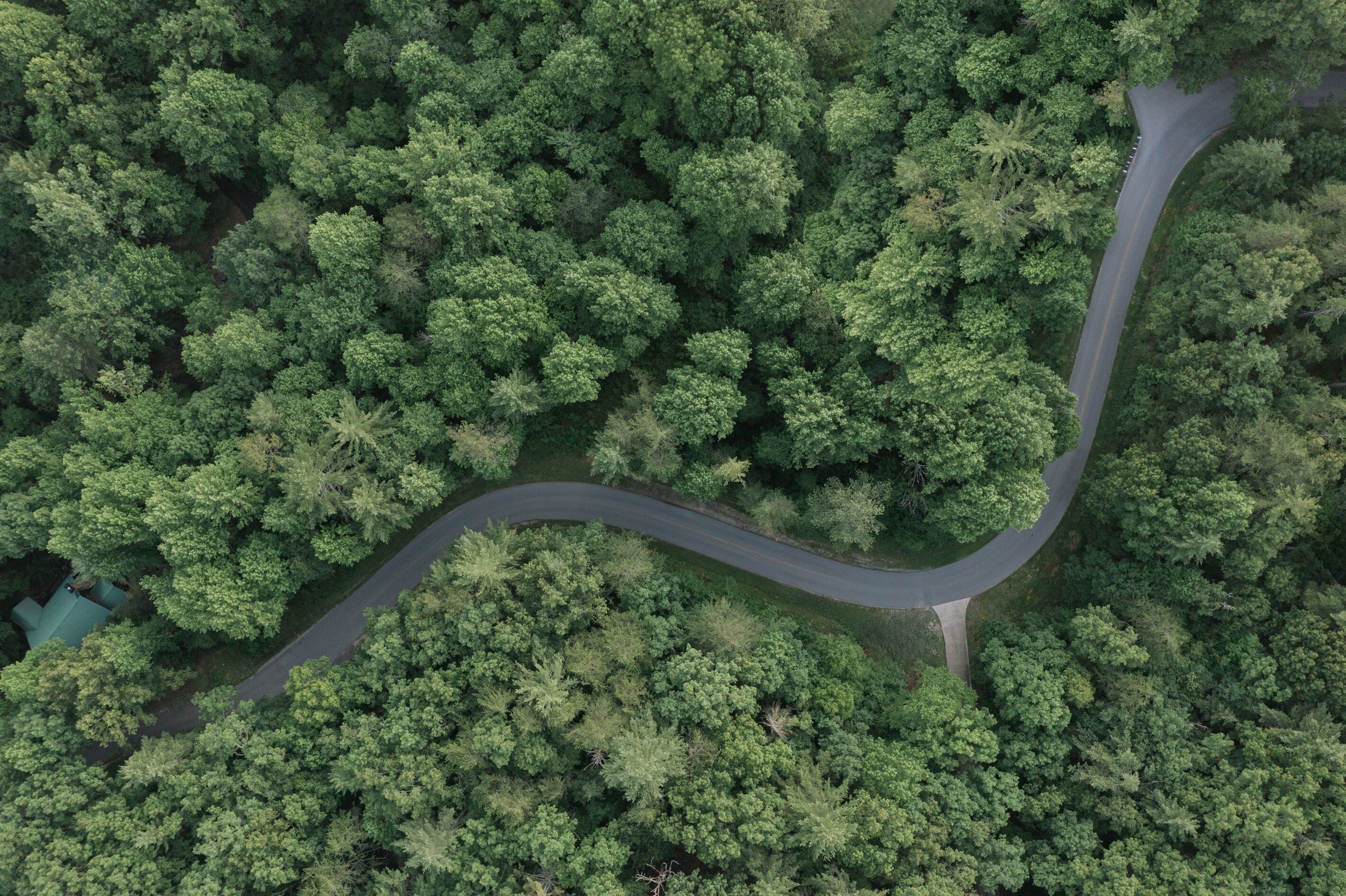 Vista aérea de una carretera sinuosa que atraviesa un bosque tupido.