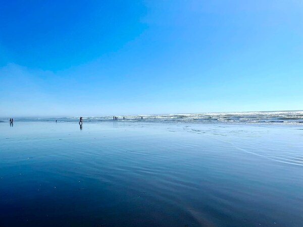 Arena Del Mar - Washington