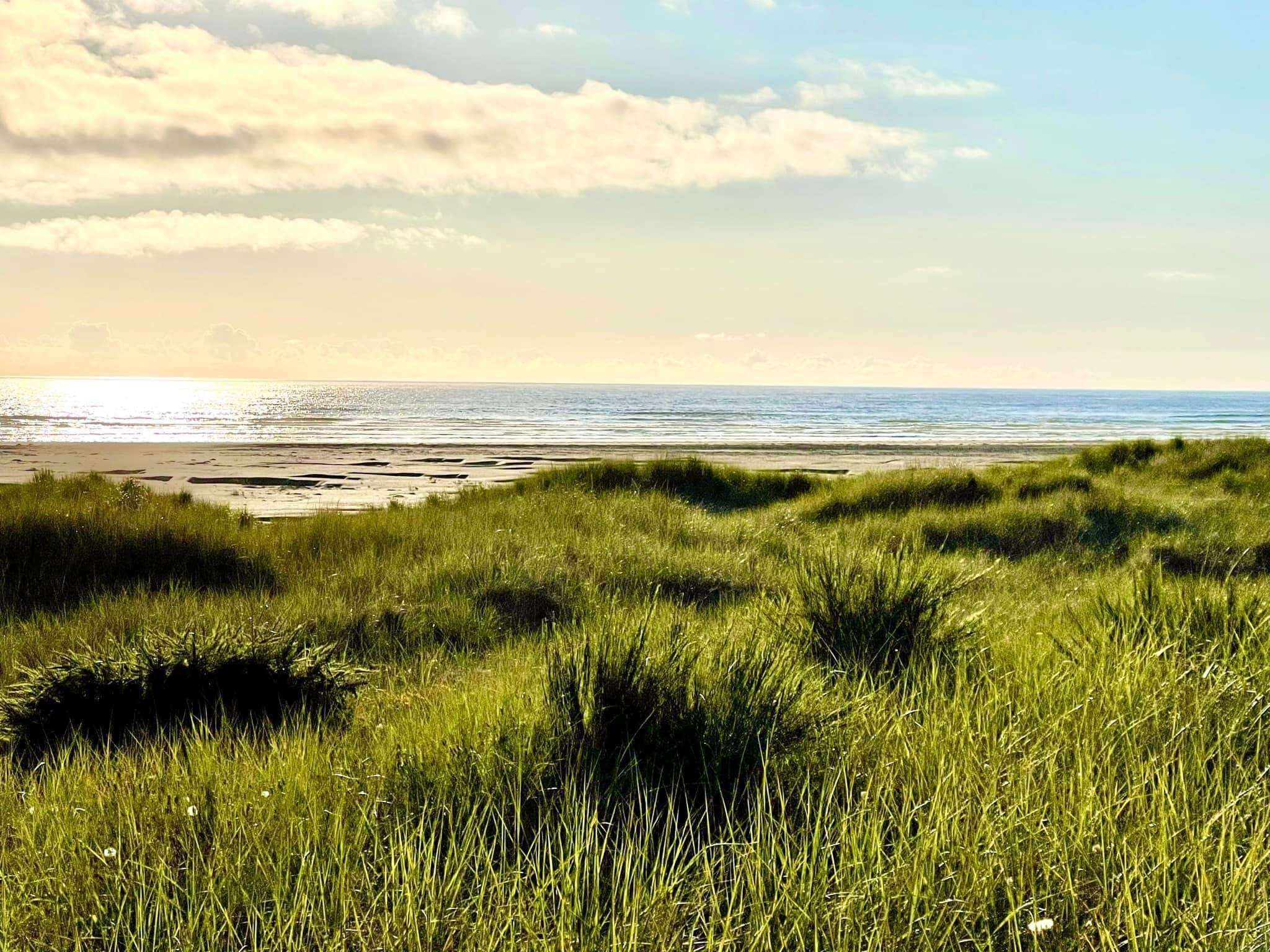 Una zona de playa con césped y vista al océano, bajo un cielo despejado.