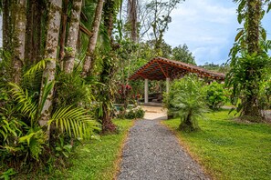 Property grounds - Large Home Set Into Lush Landscape with Private Pool & Gorgeous Deck Area (Grecia)