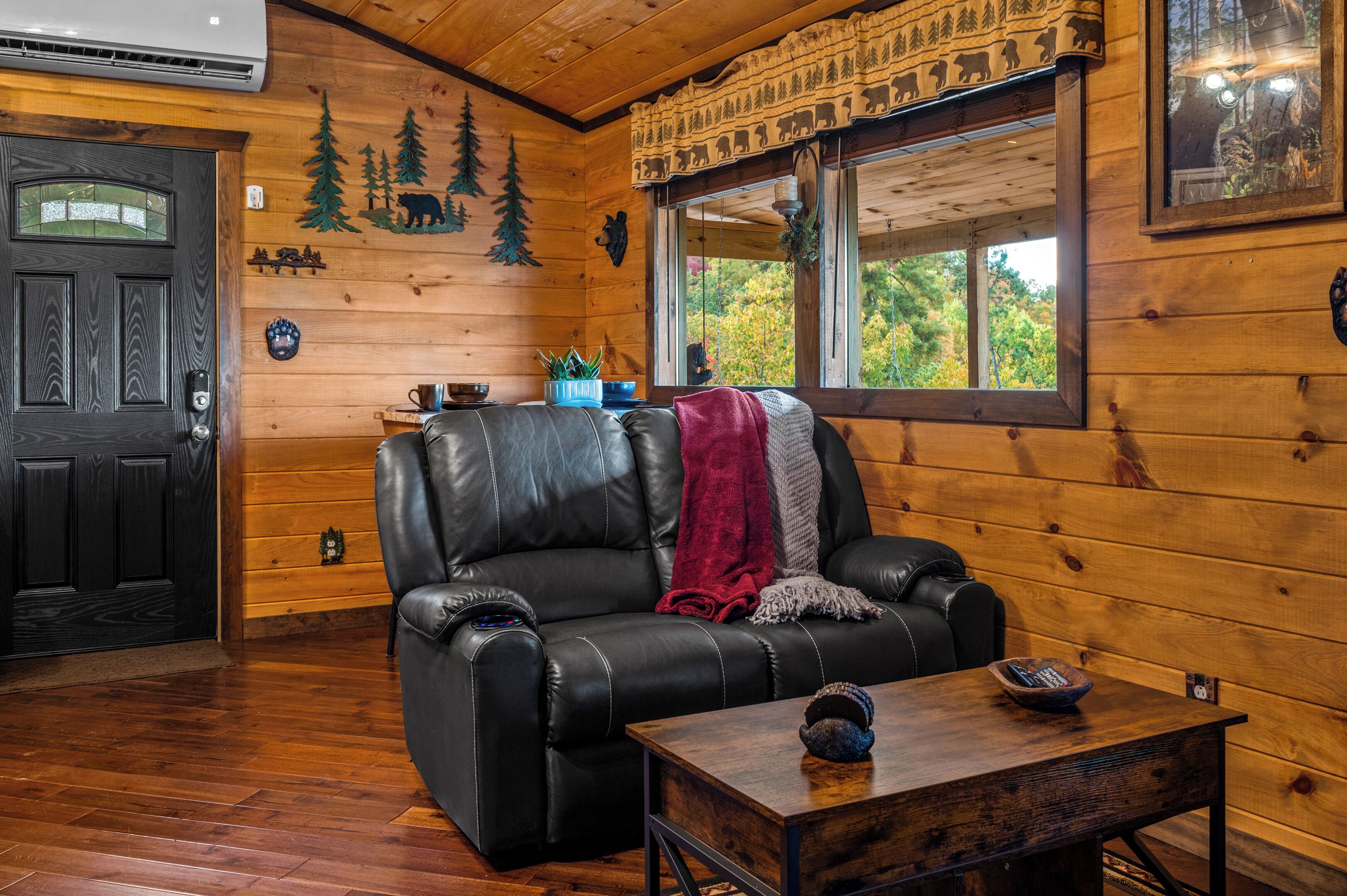 Smart TV, fireplace, DVD player, books