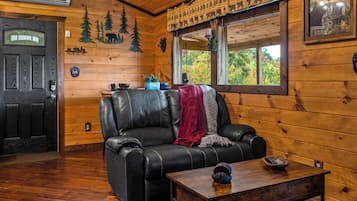 Smart TV, fireplace, DVD player, books