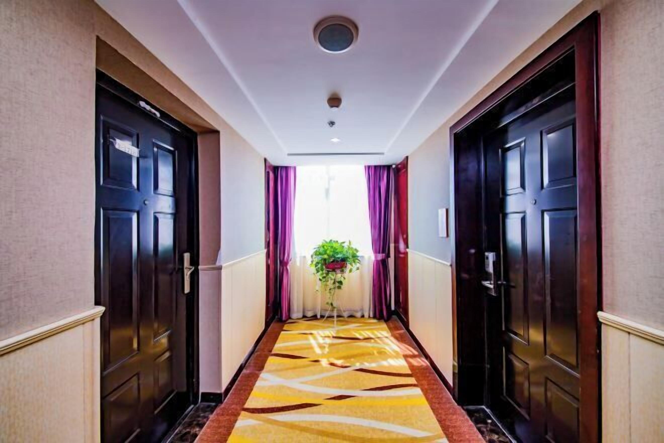A hotel hallway with dark wooden doors, a patterned carpet, and a plant in the center.
