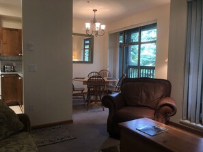 TV, fireplace, DVD player