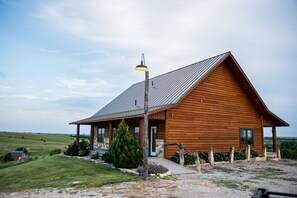 Situated in a serene natural landscape, this cabin features a sloped roof and a cozy front porch.