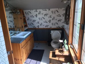 Bathroom features a vanity with sink and mirror, toilet, and a small cabinet.