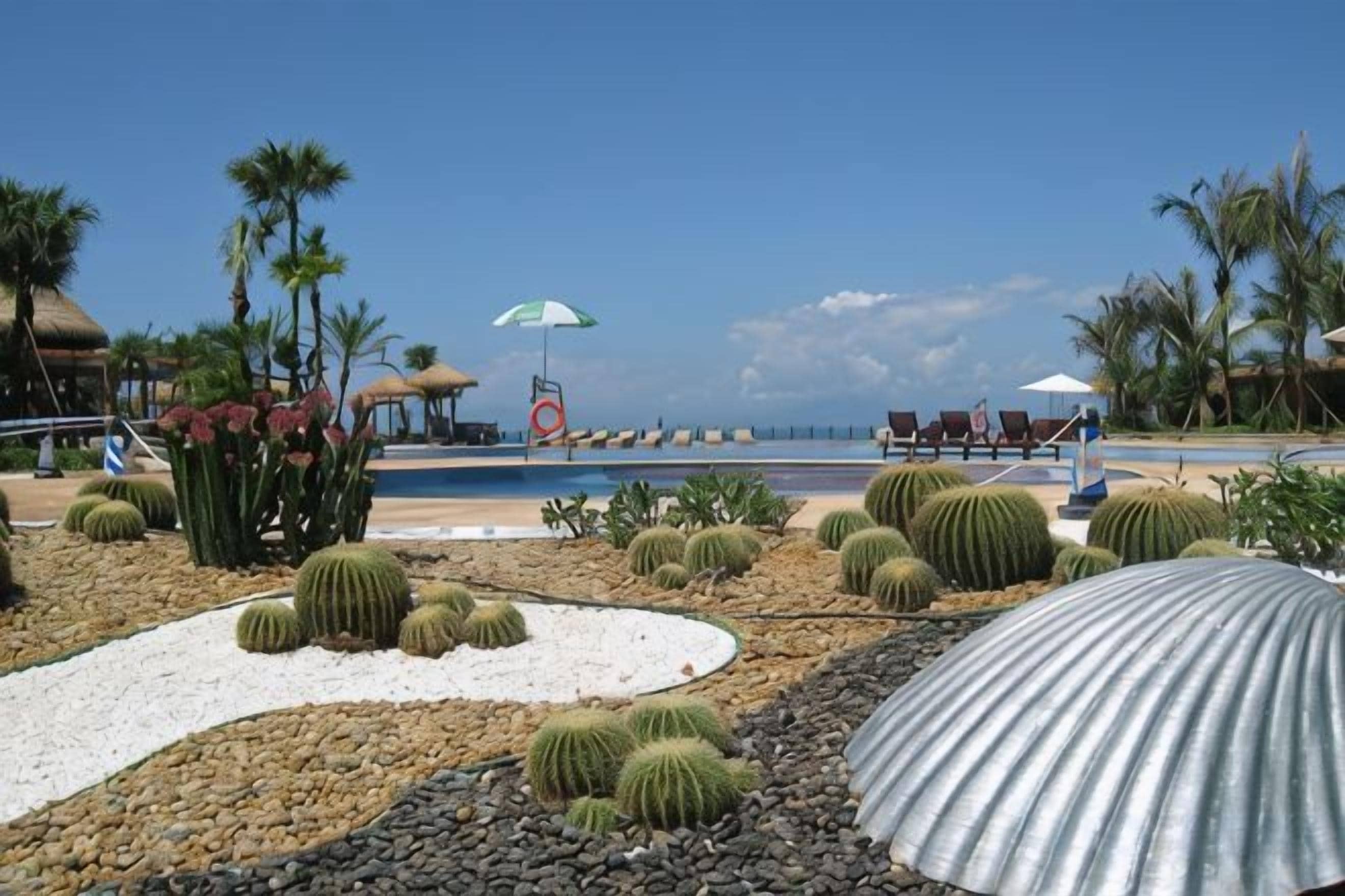 Un área de piscina con cactus, sombrillas y sillas de descanso.