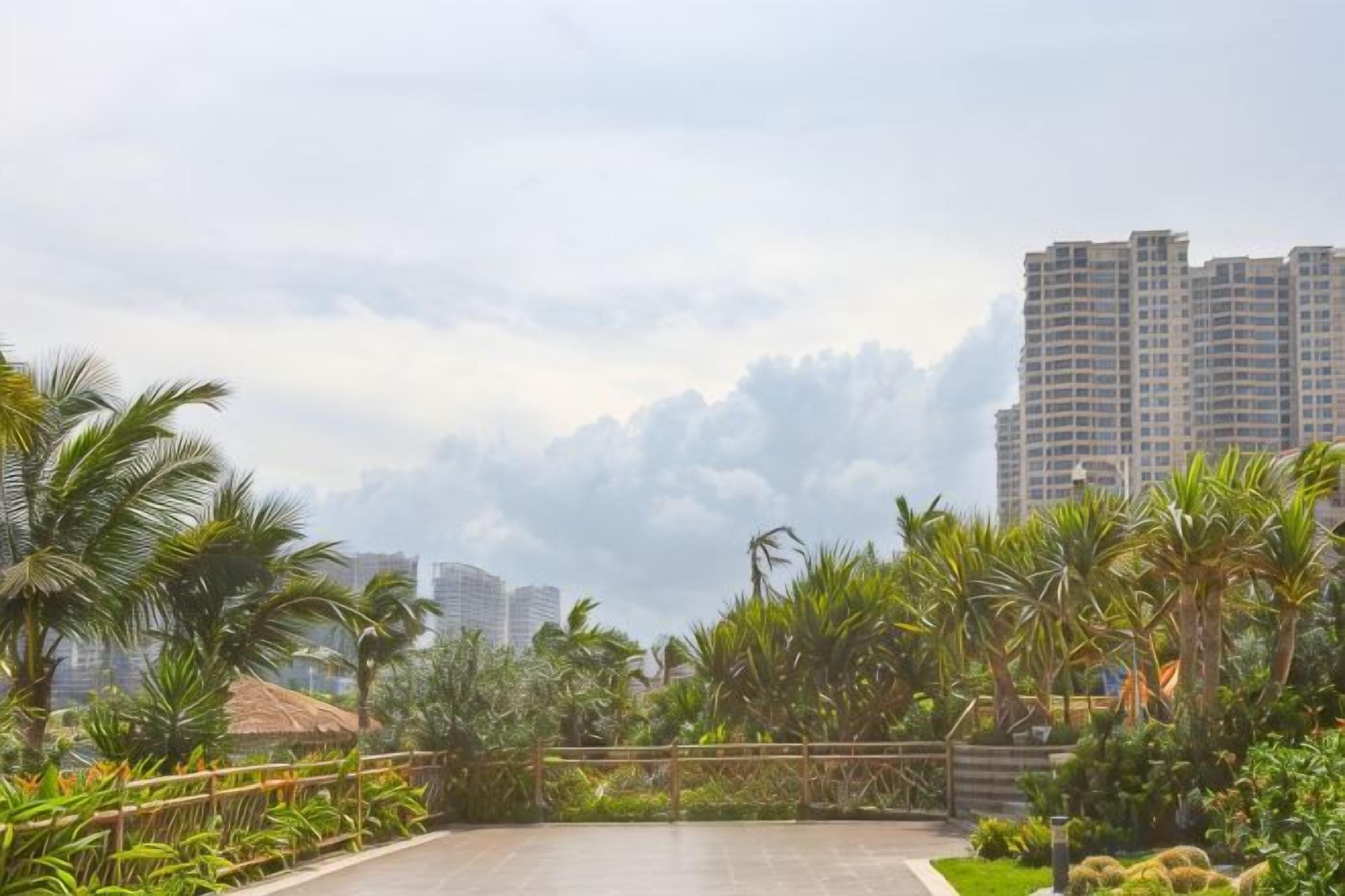 A rooftop garden with palm trees and a view of high-rise buildings.