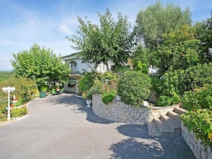 Stroll through the serene outdoor space, surrounded by lush greenery and a traditional building.