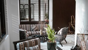 Un salon moderne avec des canapés à motifs, une table basse et une plante en pot.
