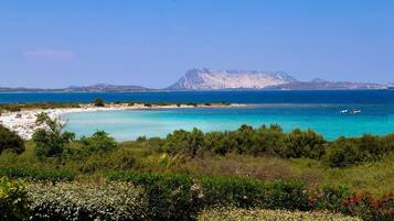 Playa en los alrededores