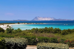 Una spiaggia nelle vicinanze