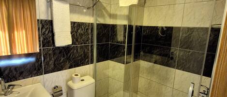 A bathroom with a glass-enclosed shower, a toilet, a sink, and a mirror.