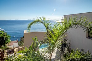 Unclassified image, 4 of 55, button