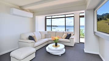 TV, fireplace, DVD player