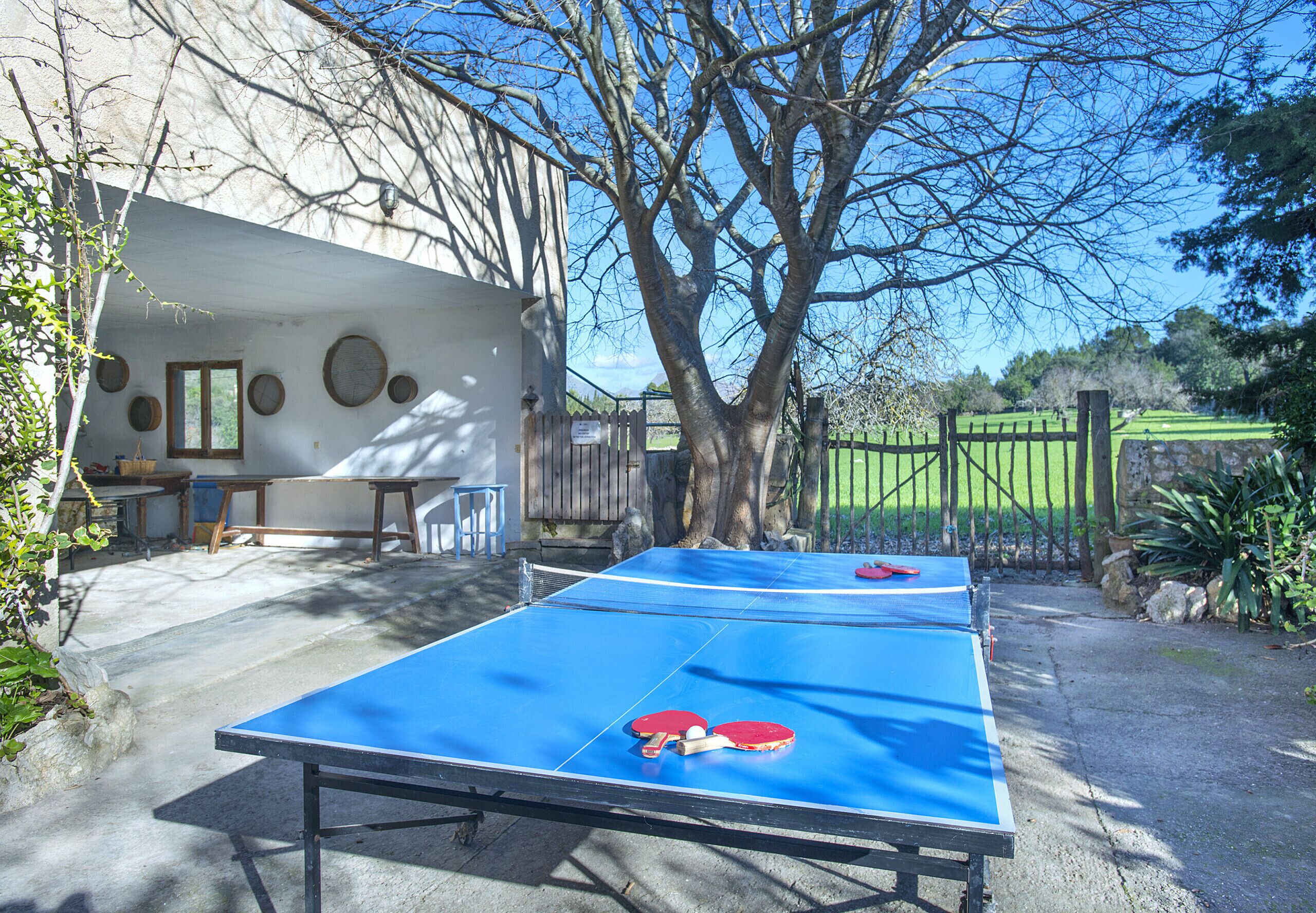 Terraza o patio