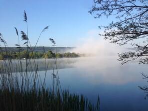 Een vredig meer met hoge grassen op de voorgrond en een mistig bos op de achtergrond.