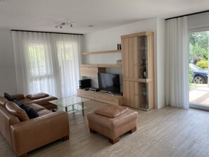 Una televisión, una chimenea, un reproductor de DVD