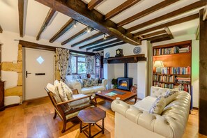 TV, fireplace, books