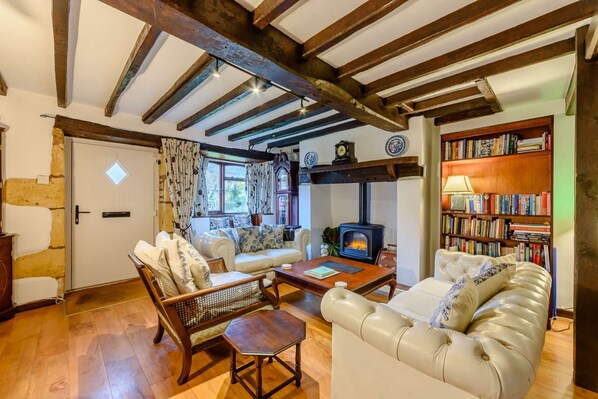 TV, fireplace, books