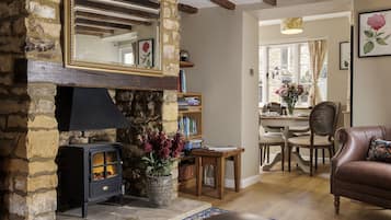 TV, fireplace, DVD player, books