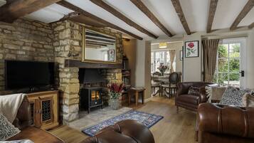 電視、壁爐、DVD 播放機、書籍