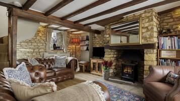 TV, fireplace, DVD player, books