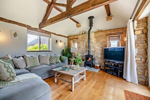 Fernseher, Kamin, DVD-Player