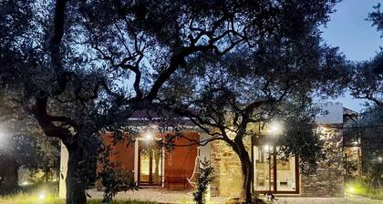 Elea stone houses, bougainvillea villa in quiet organic olive grove Thassos