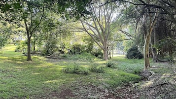 独立别墅 | 住宿场地