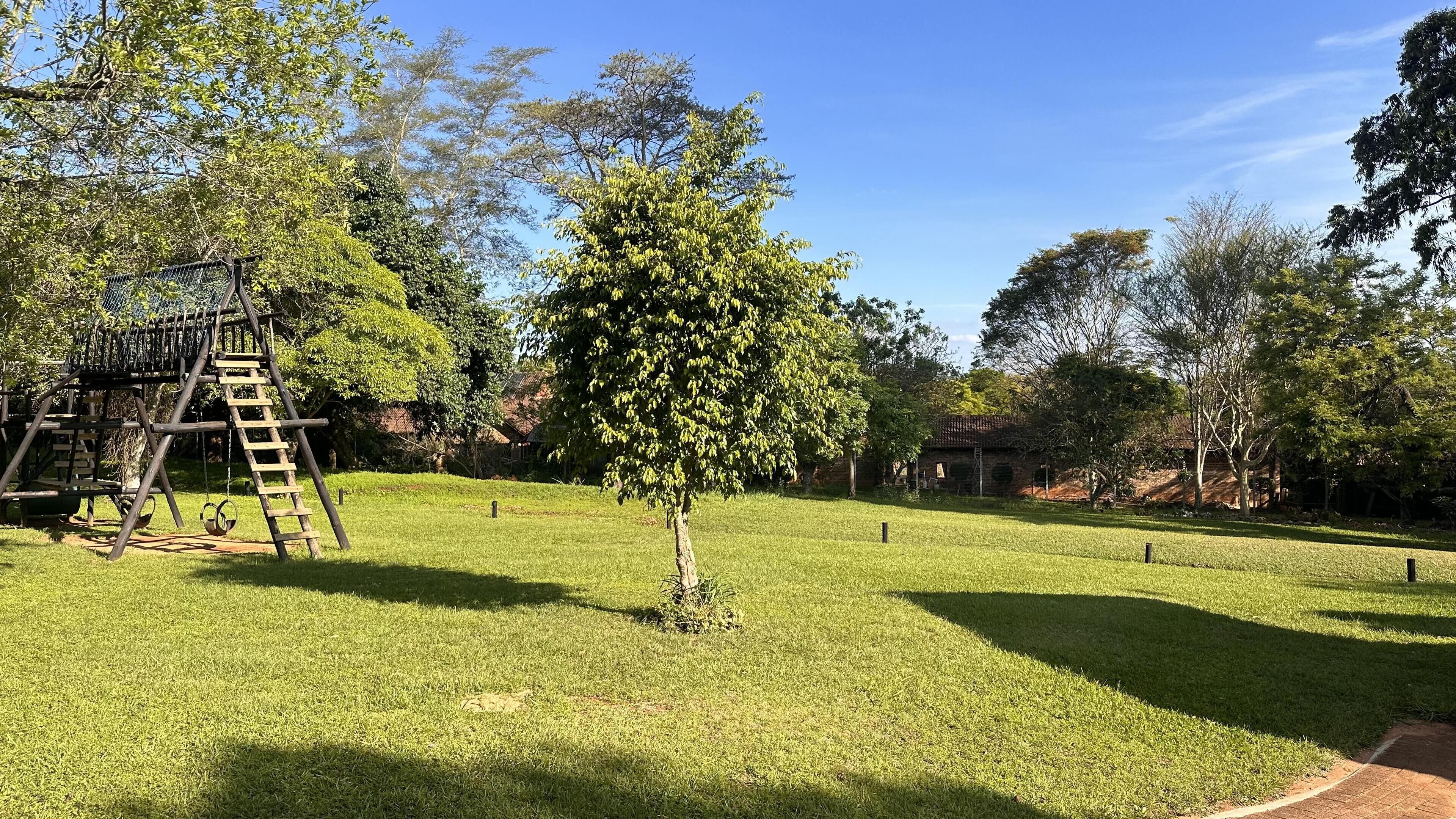 A grassy area with a wooden swing set and a tree.
